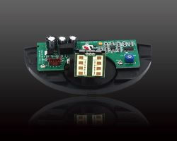 自動免费黄片下载入口