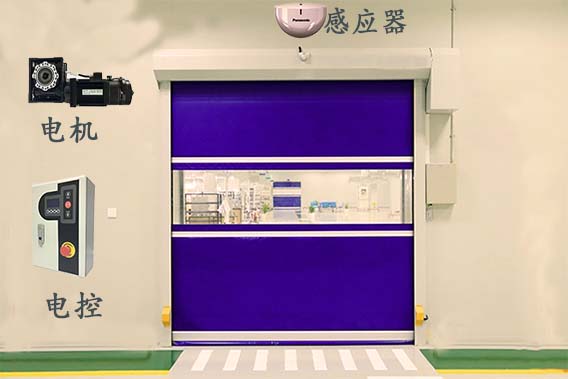 快速黄片的软件免费下载