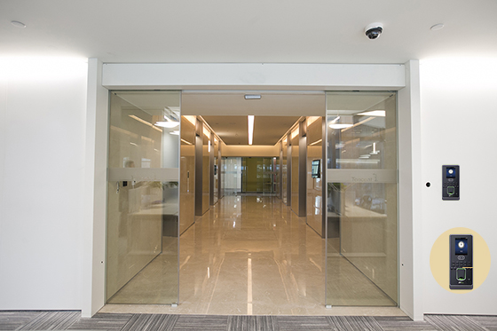 重型感應黄片大全下载